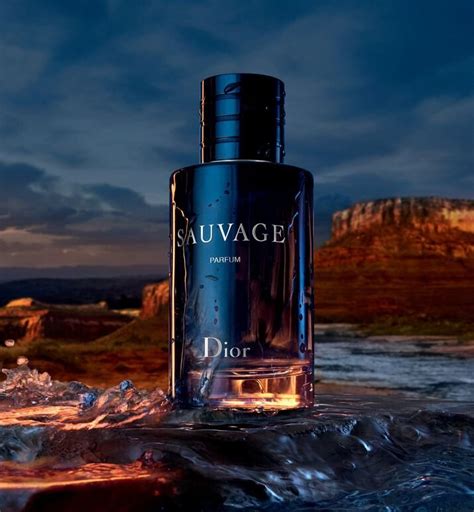 dior sauvage edp amazon|dior sauvage best price.